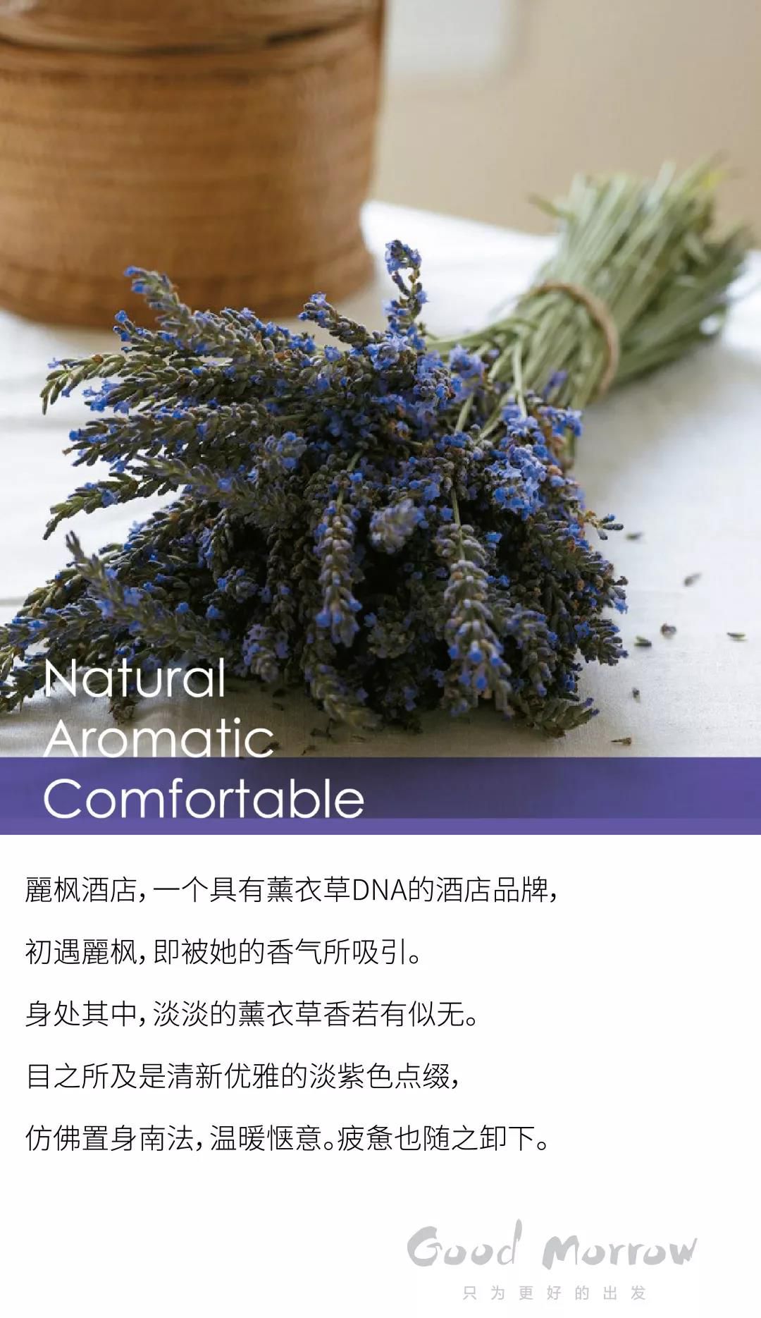4897铁l算盘资料大全